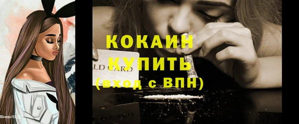 хмурый Верея