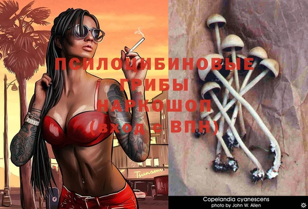 хмурый Верея