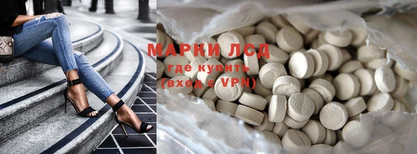 хмурый Верея